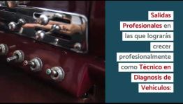 APRENDER Y CONVERTIRTE EN TÉCNICO EN DIAGNOSIS DE VEHÍCULOS: ASIGNATURAS Y LAS SALIDAS LABORALES