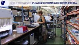FORMARSE A DISTANCIA EN APLICACIONES INFORMÁTICAS DE GESTIÓN: OPINIONES DE EXPERTOS