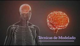 VÍDEO SOBRE LAS ASIGNATURAS Y LOS PUESTOS DE TRABAJO DEL CURSO DE PROGRAMACIÓN NEUROLINGÃœÍSTICA