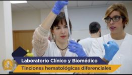 CURSO DE TÉCNICO EN HEMATOLOGÍA A DISTANCIA: TE MOSTRAMOS LO QUE OPINAN LOS EXPERTOS