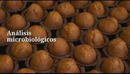 VÍDEO SOBRE EL TEMARIO Y LOS PUESTOS DE TRABAJO AL CONVERTIRTE EN AUXILIAR LABORATORIO INDUSTRIA ALIMENTARIA