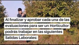 EDUCARTE COMO HORTICULTOR: ASIGNATURAS Y LAS SALIDAS LABORALES