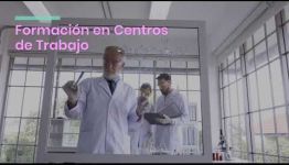 VÍDEO SOBRE EL TEMARIO Y LAS SALIDAS PROFESIONALES DEL CICLO FORMATIVO DE FP EN LABORATORIO CLÍNICO Y BIOMÉDICO