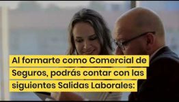 VÍDEO SOBRE LAS ASIGNATURAS Y LAS SALIDAS LABORALES AL FORMARTE COMO COMERCIAL DE SEGUROS