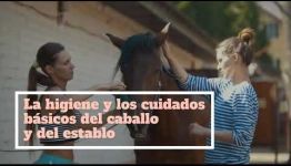 VÍDEO SOBRE LAS ASIGNATURAS Y LOS PUESTOS DE TRABAJO AL CONVERTIRTE EN AUXILIAR VETERINARIO ECUESTRE