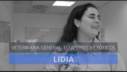 FORMARSE A DISTANCIA COMO AUXILIAR VETERINARIO DE ANIMALES EXÓTICOS: DESCUBRE LO QUE COMENTAN LOS ESTUDIANTES