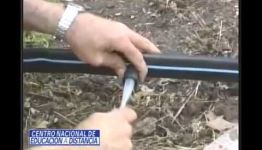 HORTICULTOR: DESCUBRIMOS LO QUE COMENTAN LOS ALUMNOS