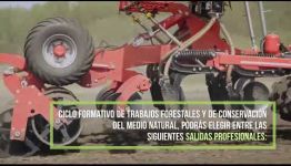 CICLO FORMATIVO DE FP TRABAJOS FORESTALES Y DE CONSERVACIÓN DEL MEDIO NATURAL: TEMARIO Y LAS SALIDAS PROFESIONALES