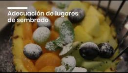 APRENDER Y CONVERTIRTE EN FRUTICULTOR: ASIGNATURAS Y LAS SALIDAS LABORALES