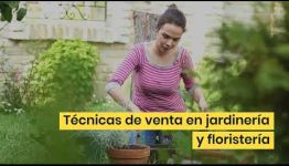 CICLO FORMATIVO DE FP EN JARDINERÍA Y FLORISTERÍA: TEMARIO Y LAS SALIDAS PROFESIONALES