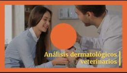 VÍDEO SOBRE EL TEMARIO Y LAS SALIDAS PROFESIONALES DE LA FORMACIÓN DE ANÁLISIS CLÍNICOS VETERINARIOS