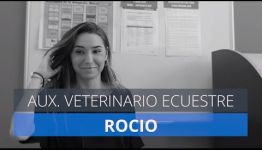 OPINIONES DE LOS EXPERTOS SOBRE EL CURSO DE AUXILIAR VETERINARIO ECUESTRE