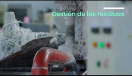 EDUCARTE COMO TÉCNICO EN GESTIÓN AMBIENTAL: ASIGNATURAS Y LAS SALIDAS LABORALES