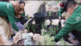 ESTUDIAR A DISTANCIA EL CICLO FORMATIVO EN JARDINERÍA Y FLORISTERÍA: OPINIONES