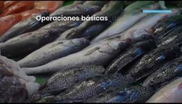 VÍDEO SOBRE LAS ASIGNATURAS Y LAS SALIDAS LABORALES AL CONVERTIRTE EN ELABORADOR DE CONSERVAS DE PRODUCTOS DE LA PESCA