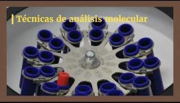 APRENDER Y CONVERTIRTE EN TÉCNICO EN HEMATOLOGÍA: ASIGNATURAS Y LAS SALIDAS LABORALES