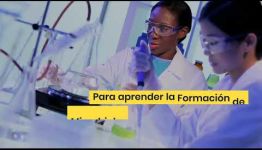 CURSO DE MICROBIOLOGÍA E HIGIENE ALIMENTARIA: TEMARIO Y LOS PUESTOS DE TRABAJO